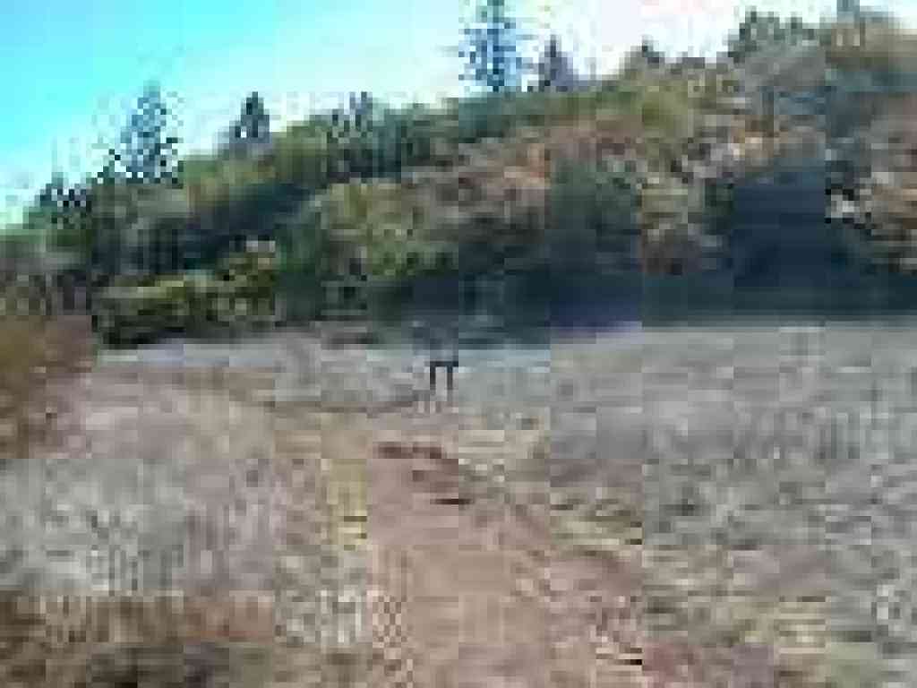 Cobblestone Trail