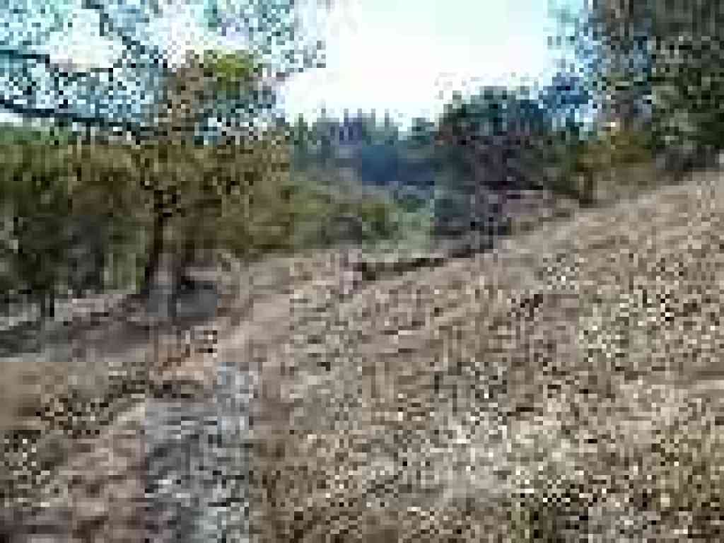 Cobblestone Trail