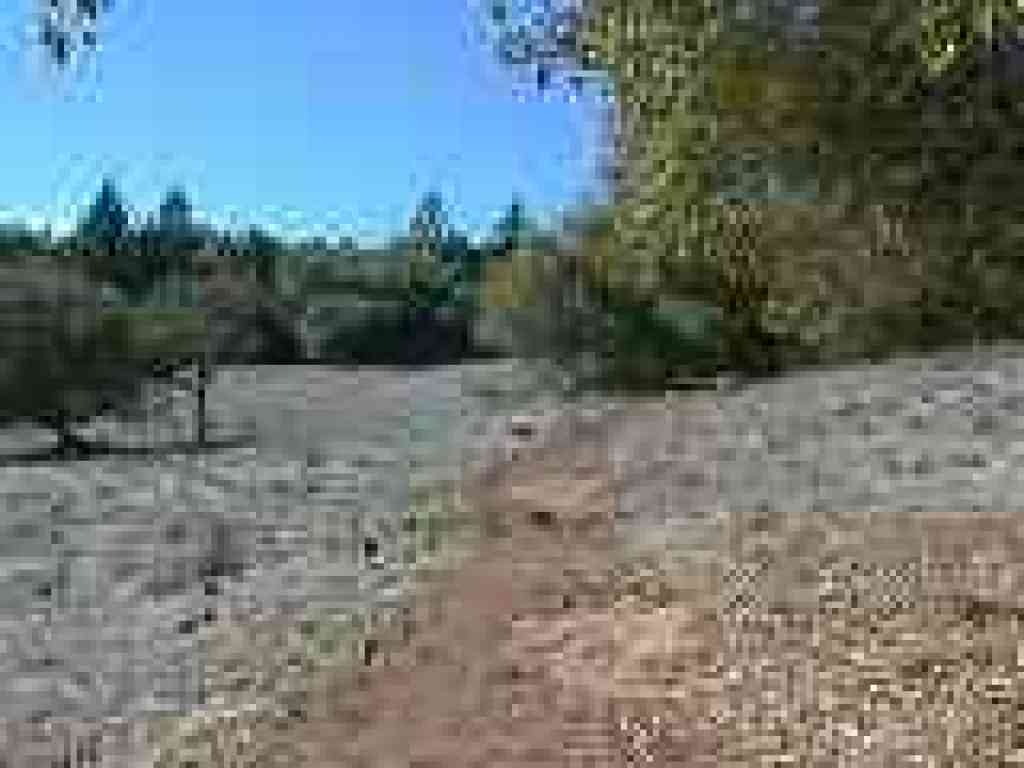 Rock exposed along the trail