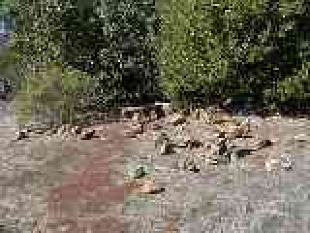 Rock cairns and benches