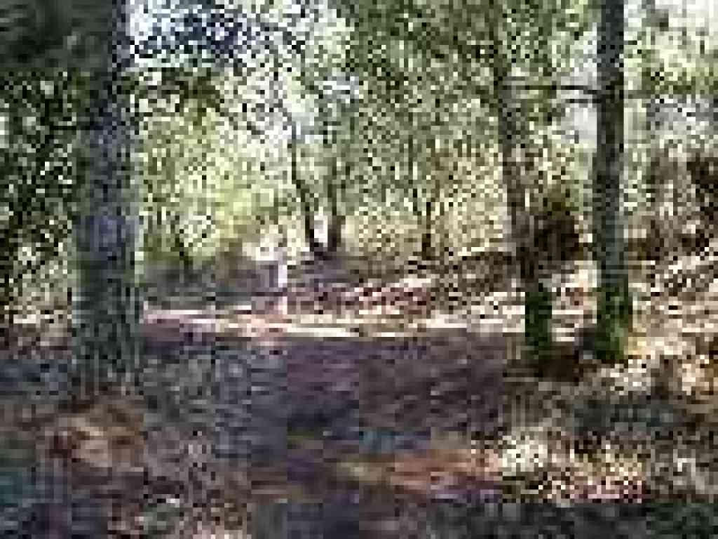 Junction