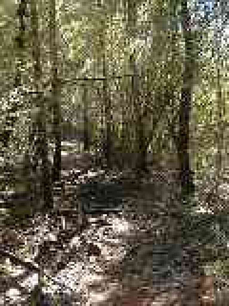 Narrow path