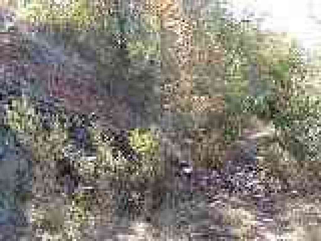 Rock swale