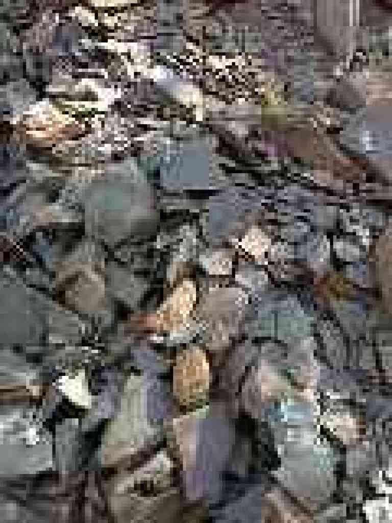 Rock pile