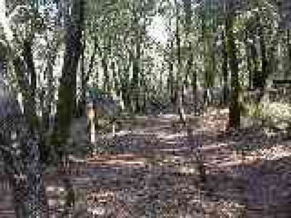 Junction