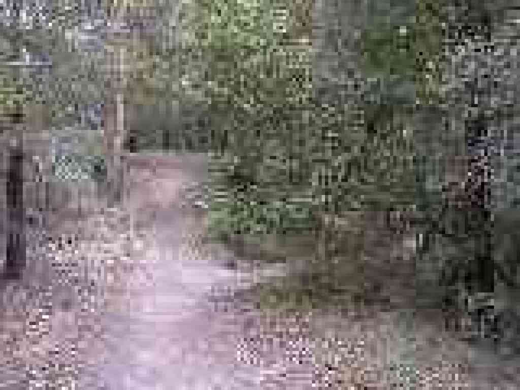 Trail splits