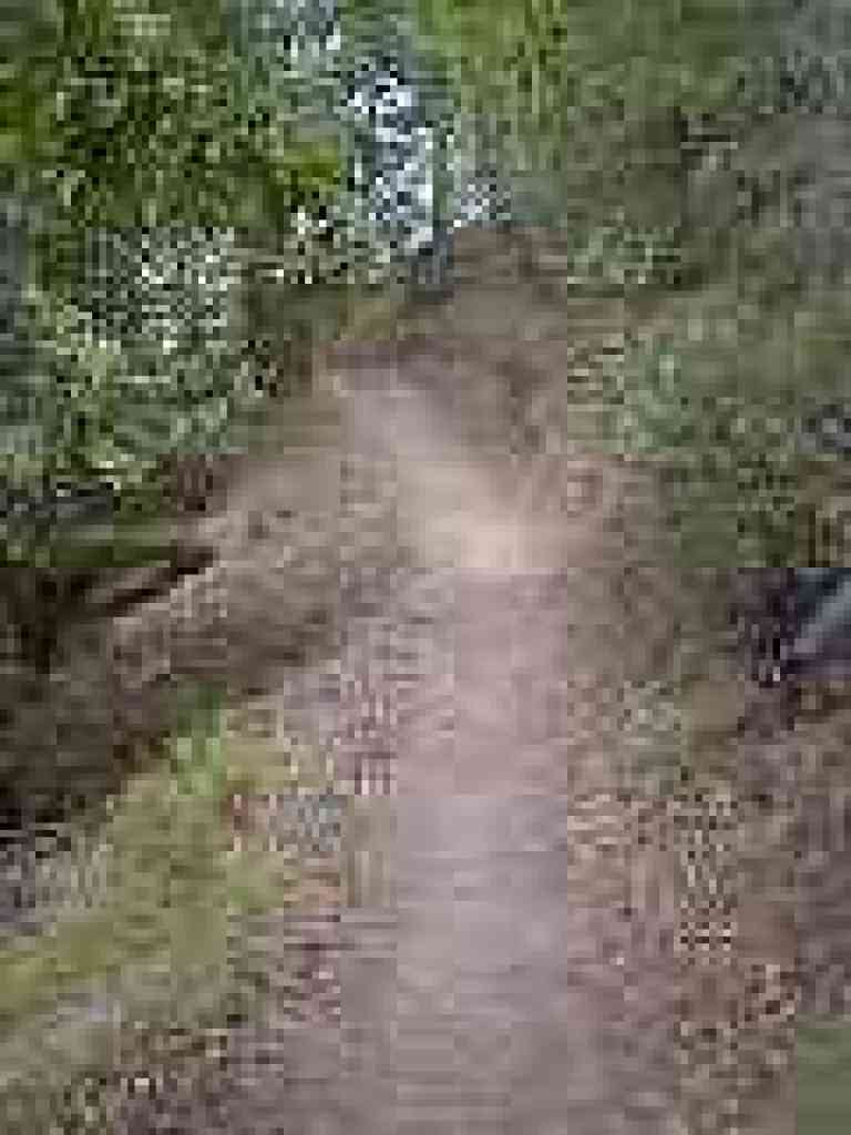 Climbing