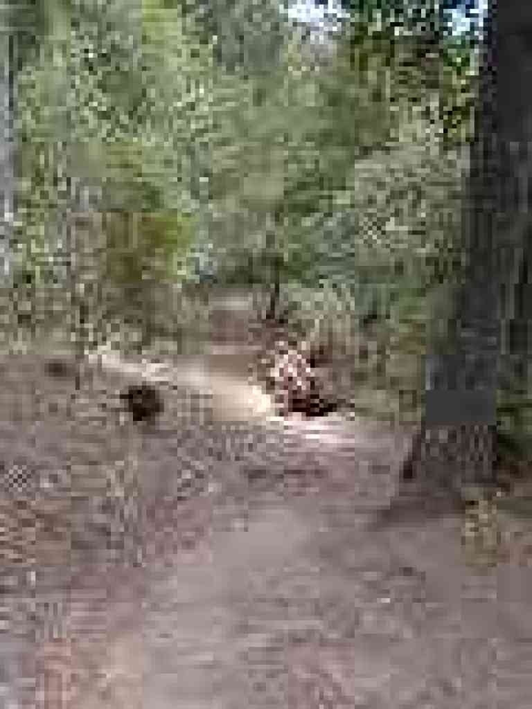 Downhill