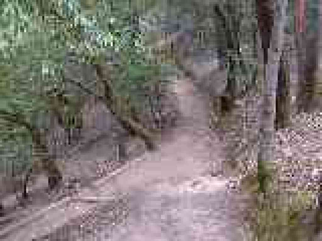 Junction