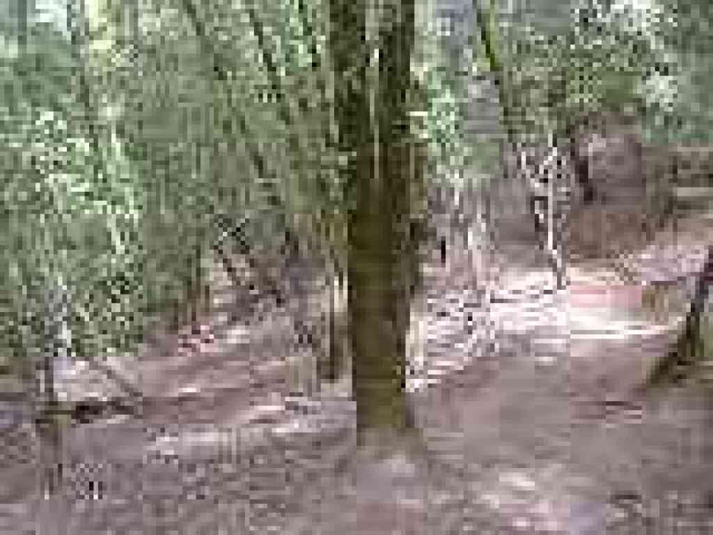 Descending