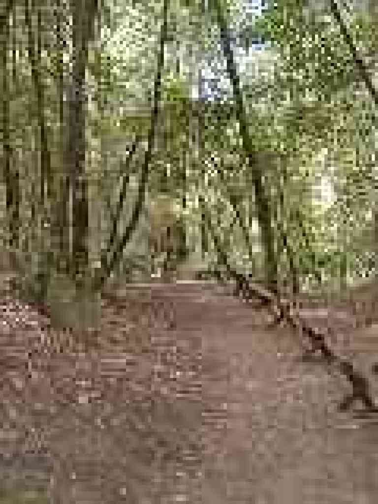 Restoration area