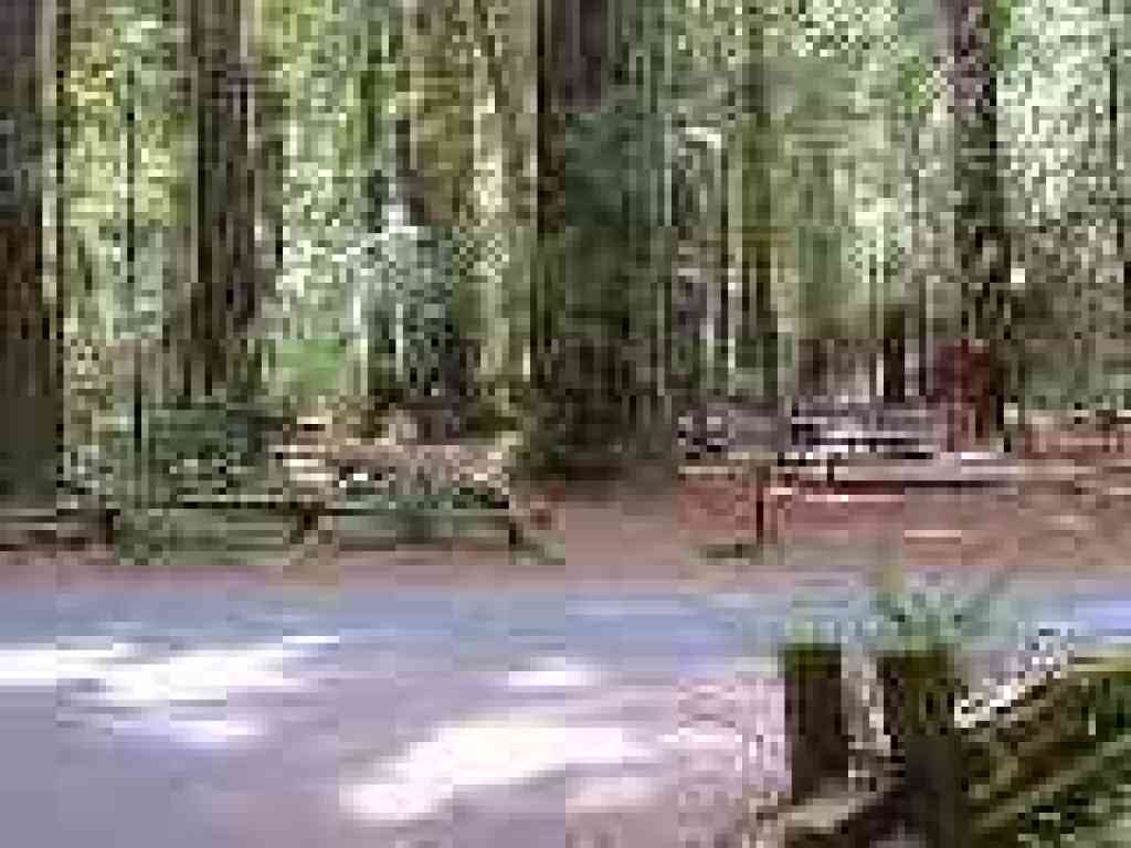 Start of Pioneer Trail