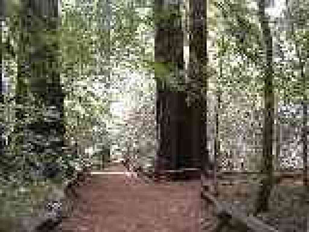 Junction