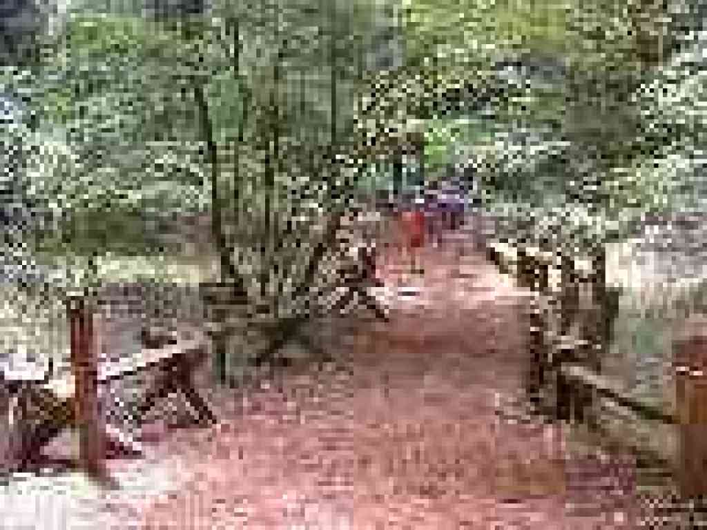 Junction