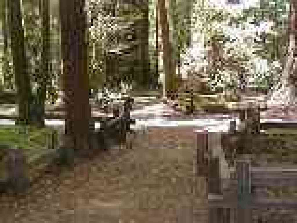 Another road crossing