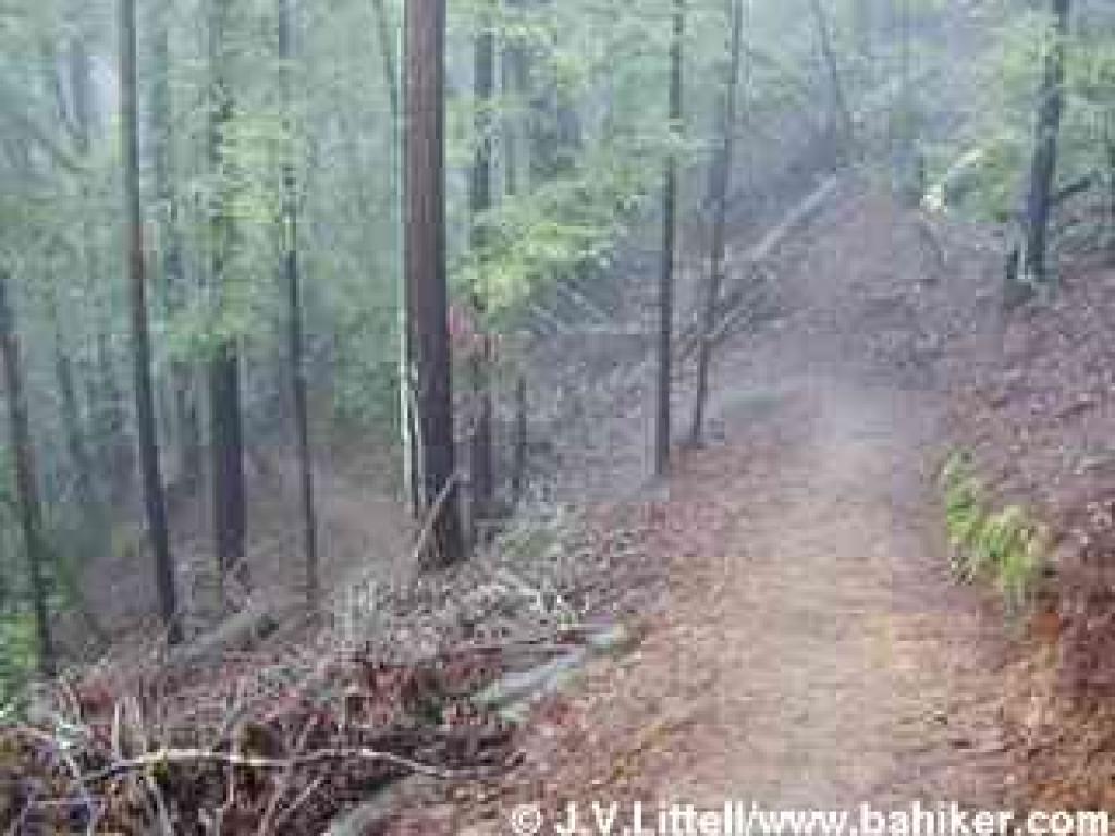 Returning downhill from the falls