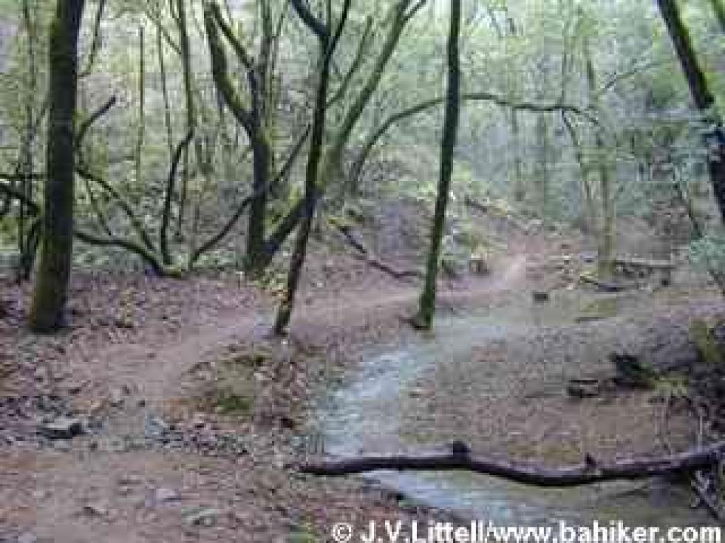 Dawn Falls Trail