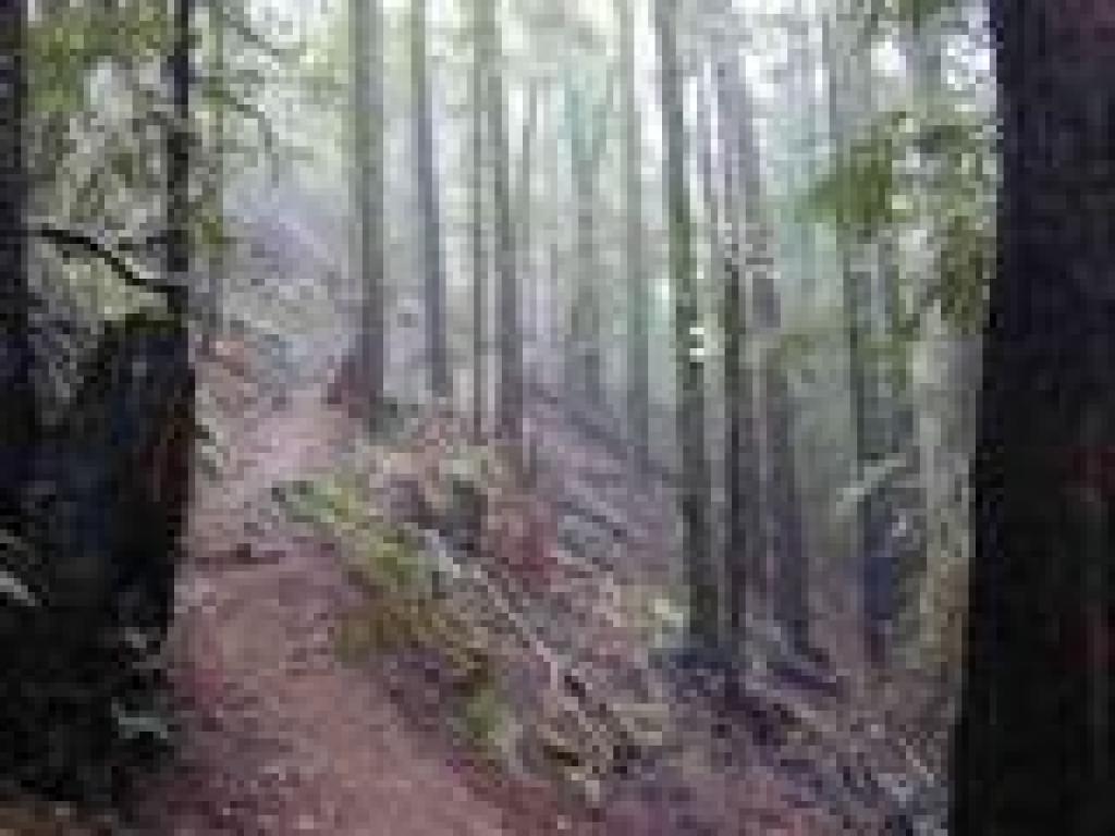 Ascending toward the falls