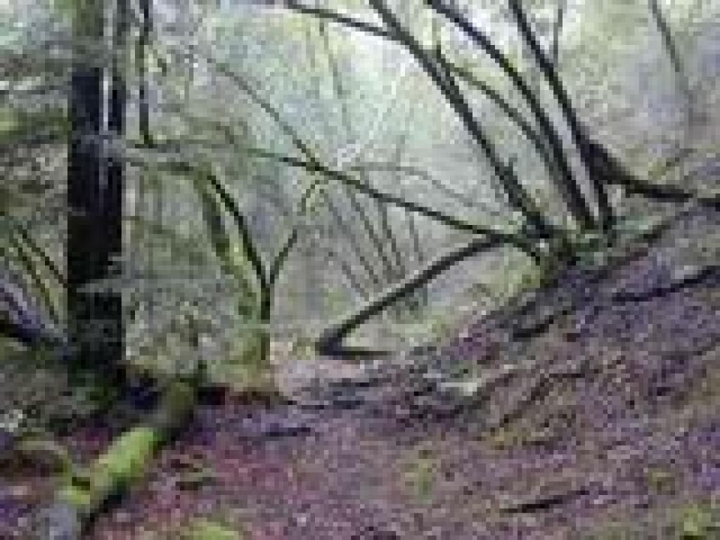 A view up a side canyon