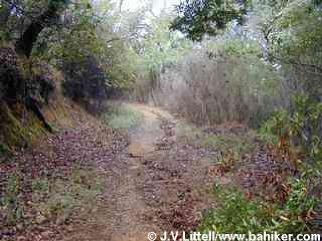 Neighborhood trail offers access to Bay Hill Fire Road