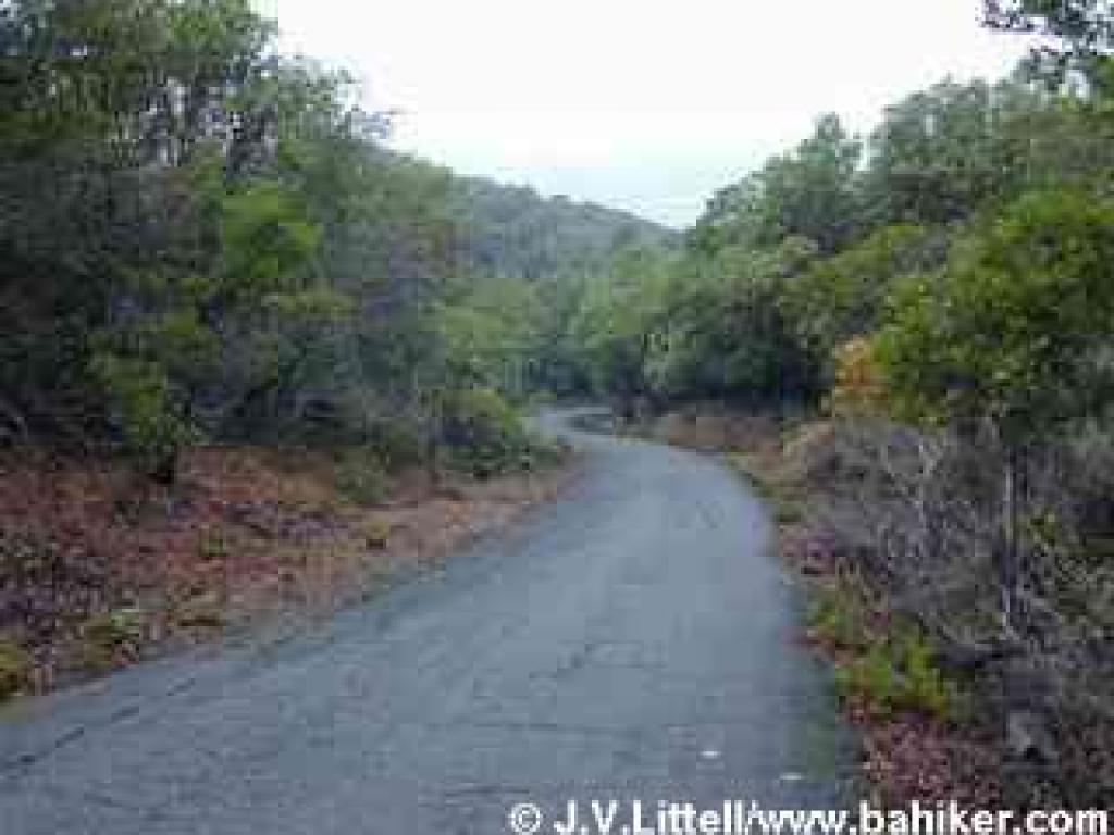 A steep downhill section just before the junction with China Camp's Ridge Fire Road