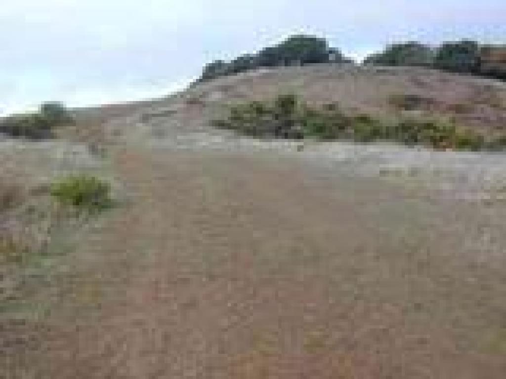 Still in grassland, the fire road continues to climb