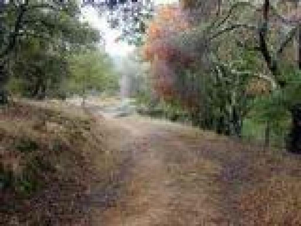 Short flat stretch