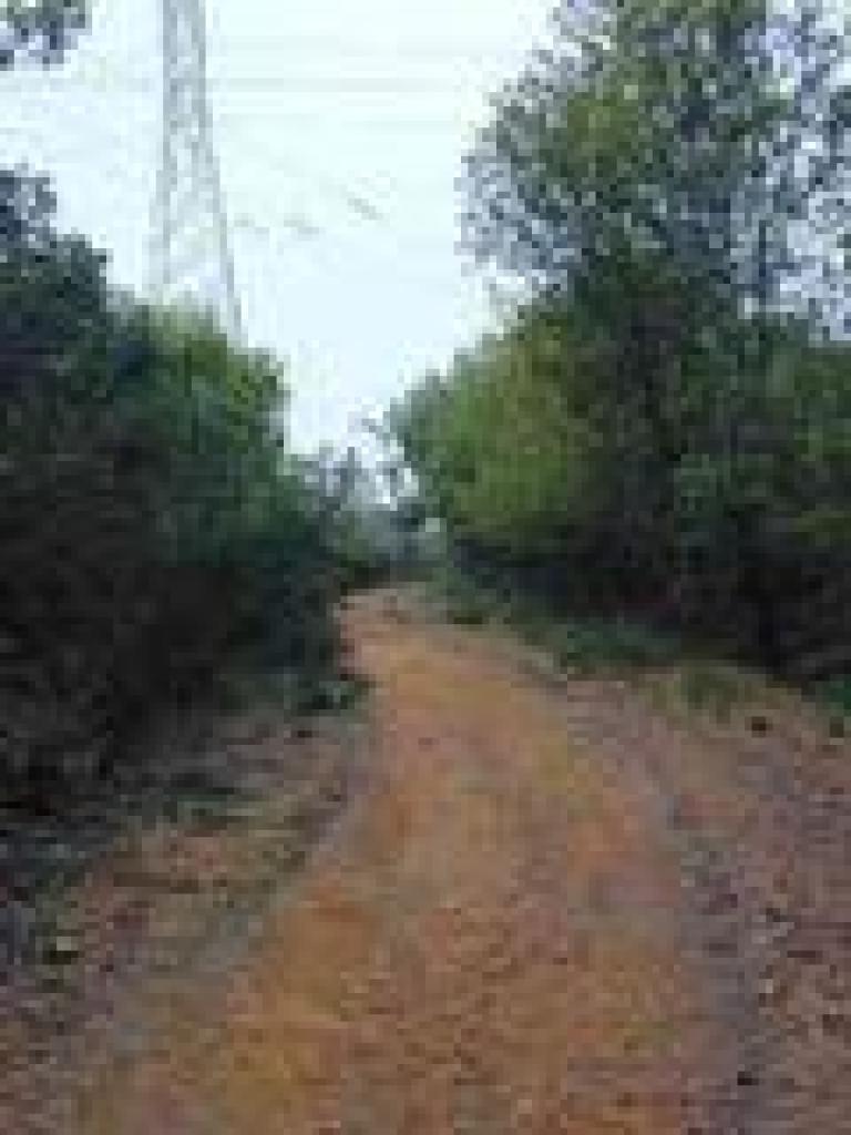 The fire road meets a power line