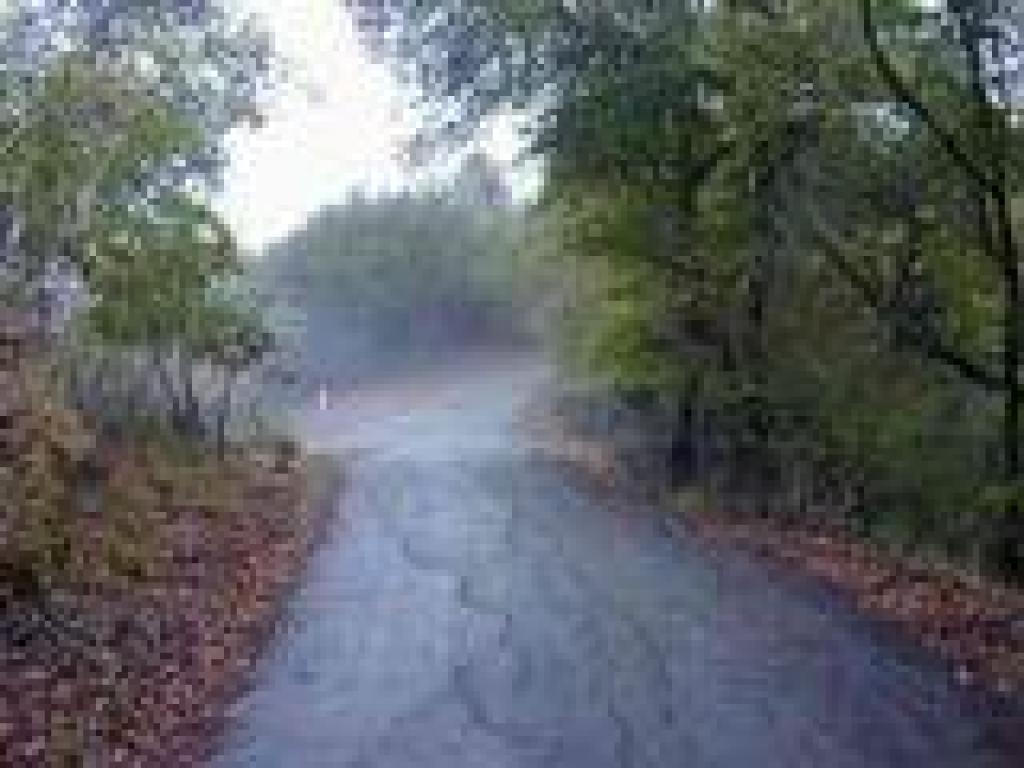Pavement