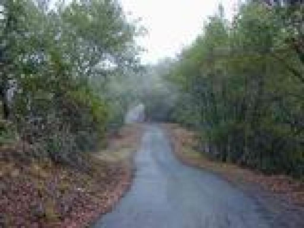 Fire road rolls slightly up and down
