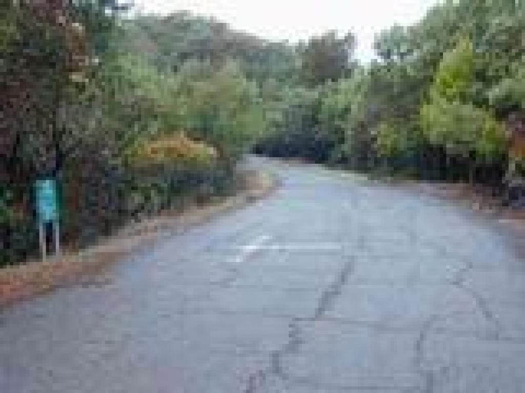 Bay Hills Fire Road