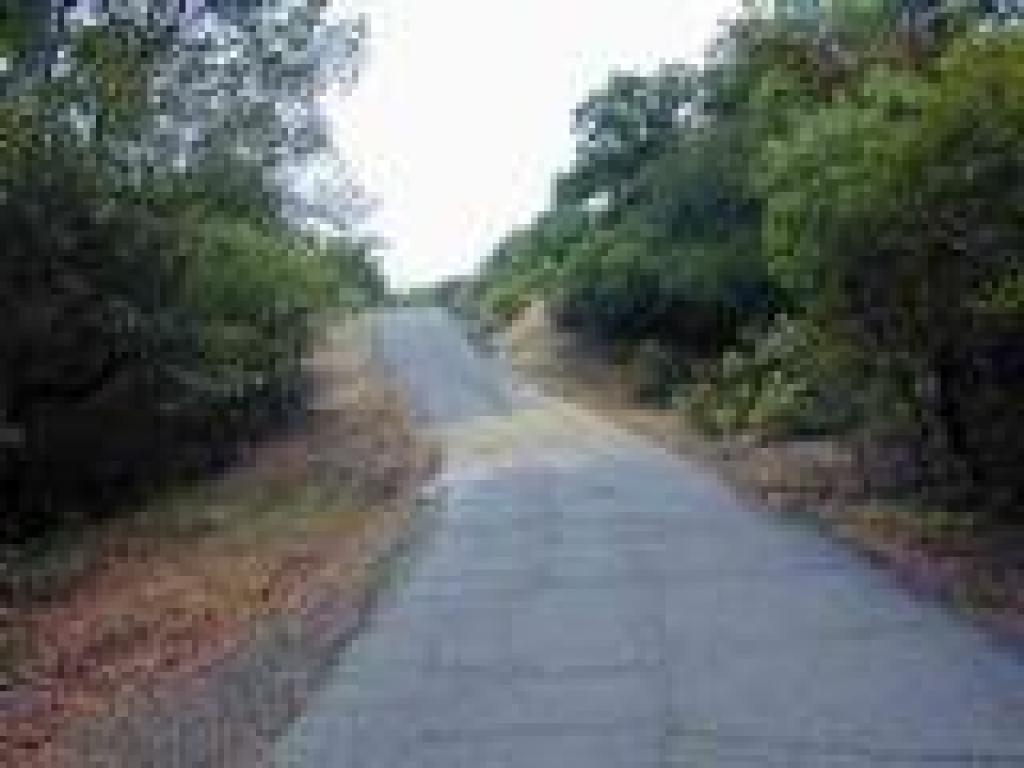 Bay Hills Fire Road