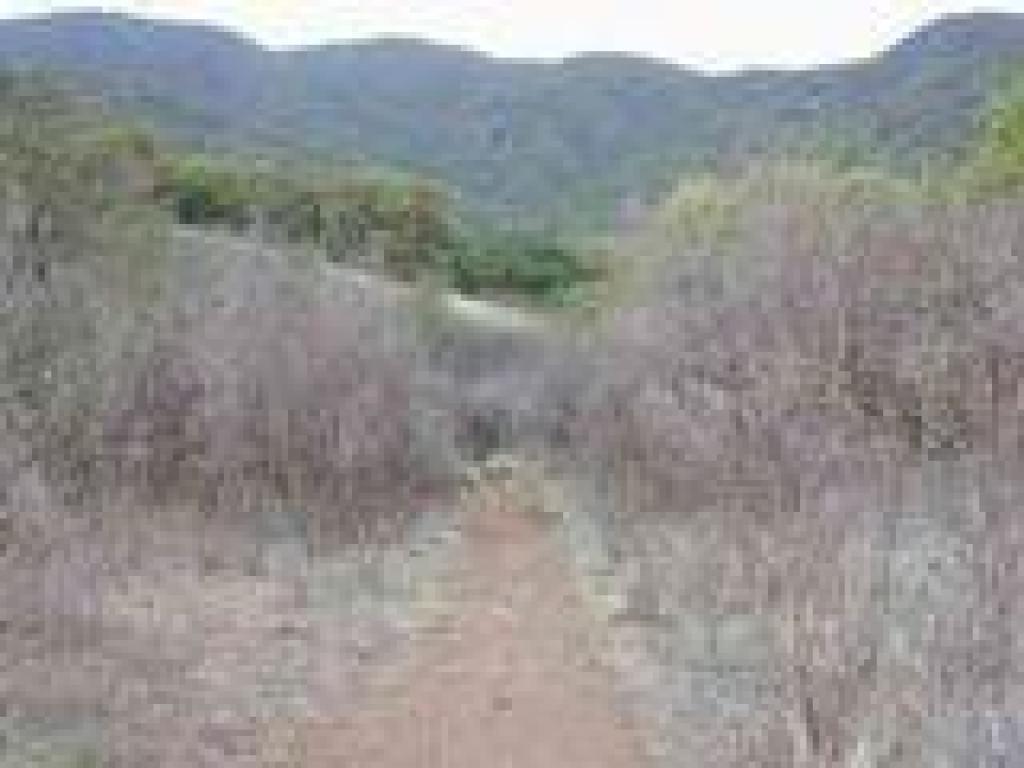 Returning to the trailhead