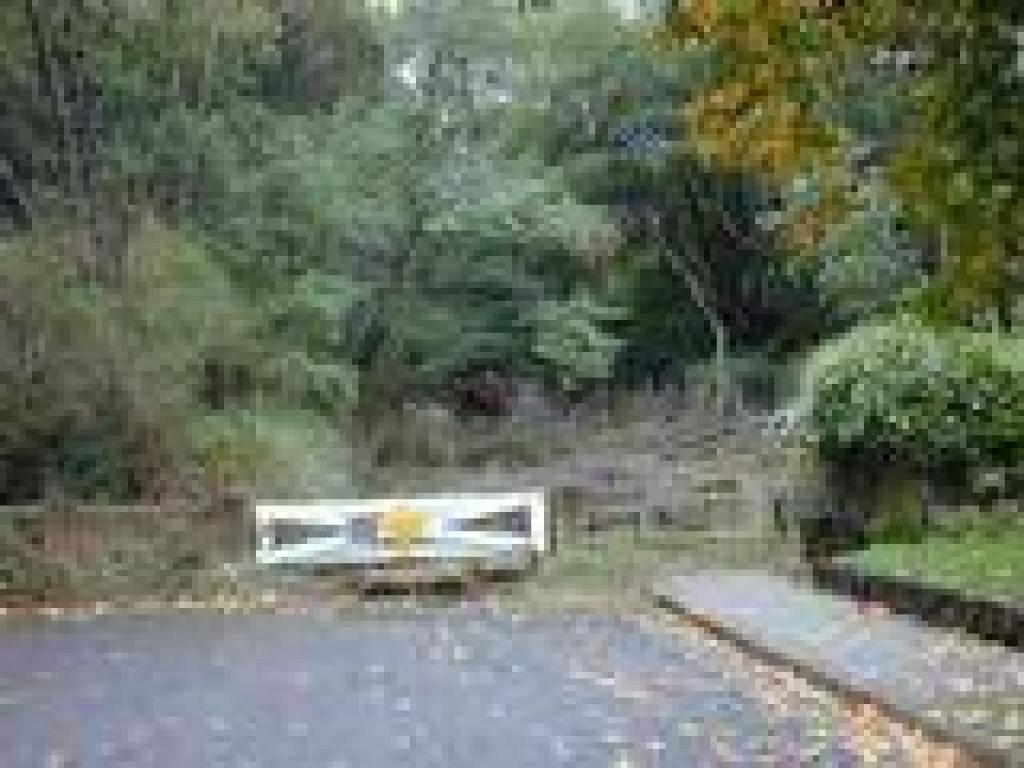 Start of the trail