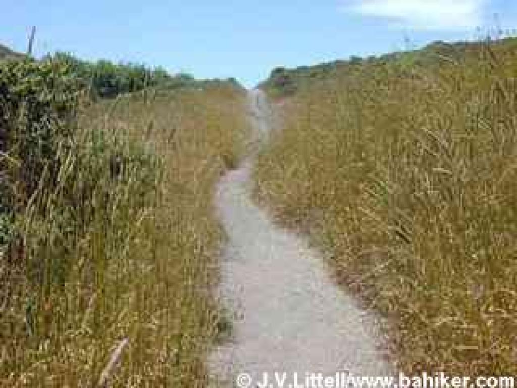 Coast Trail