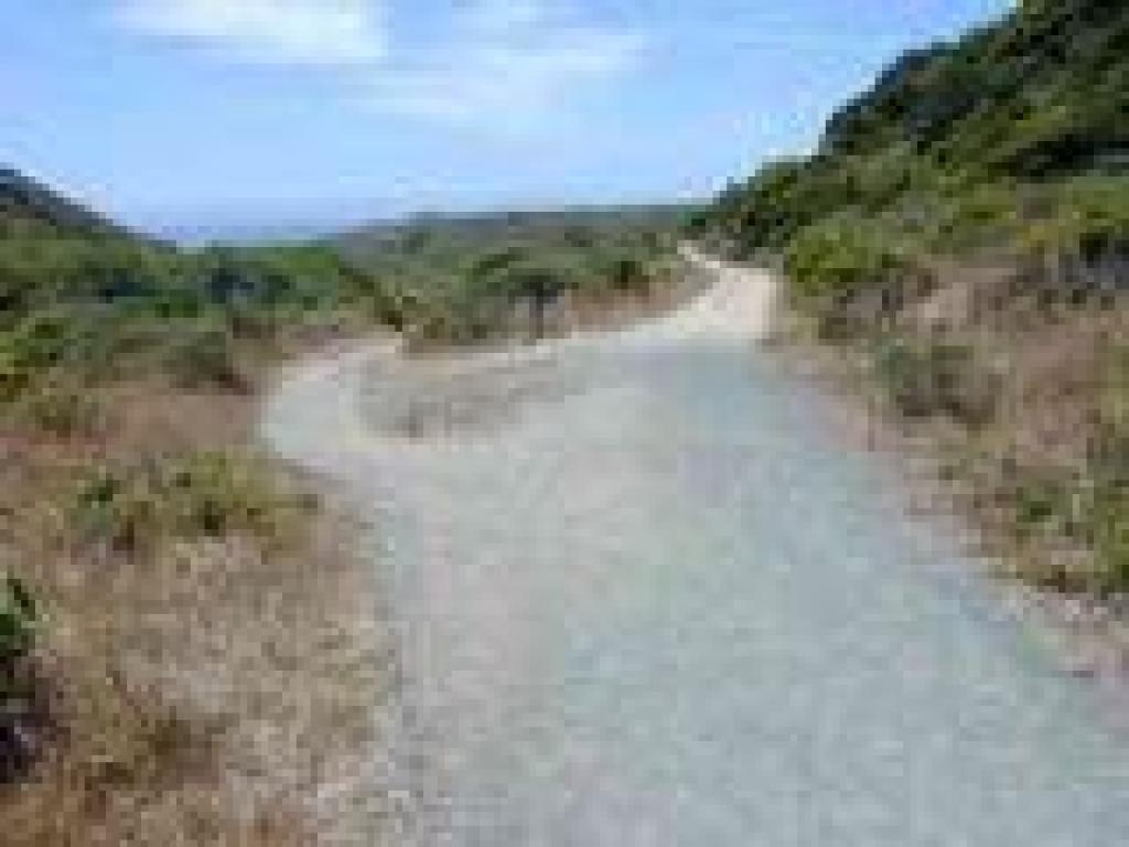 Junction with Coast Trail