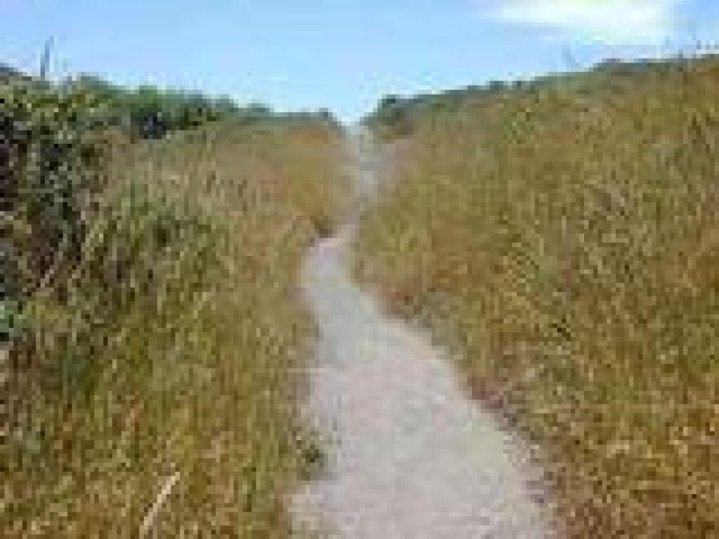 Coast Trail