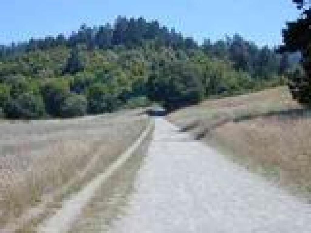 Bear Valley Trail