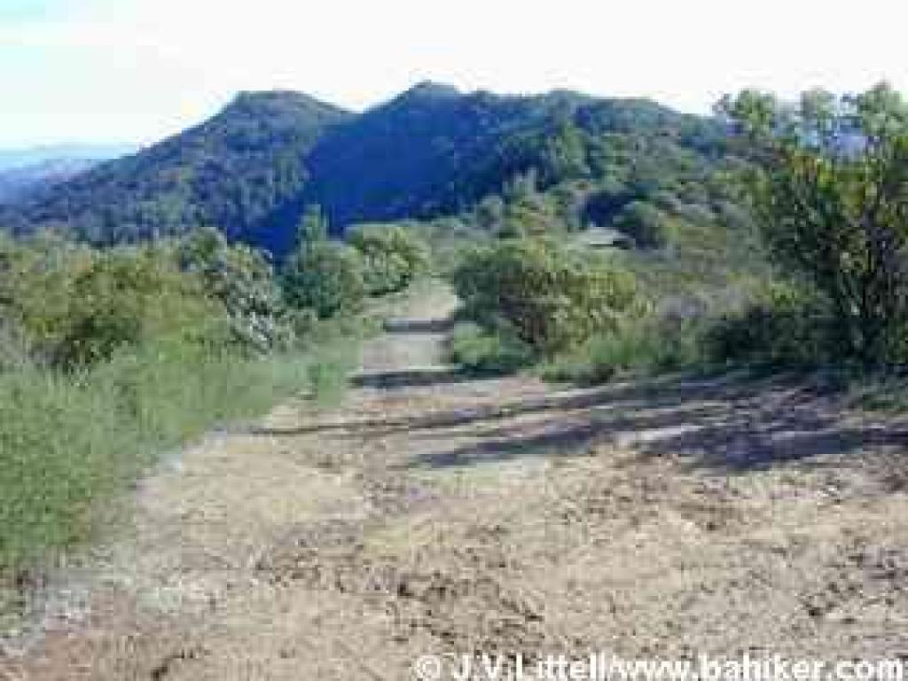 Blithedale Ridge Fire Road