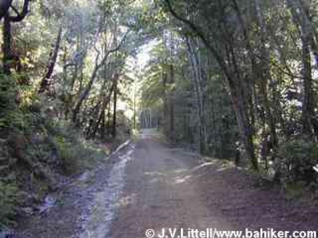 Returning on Old Railroad Grade