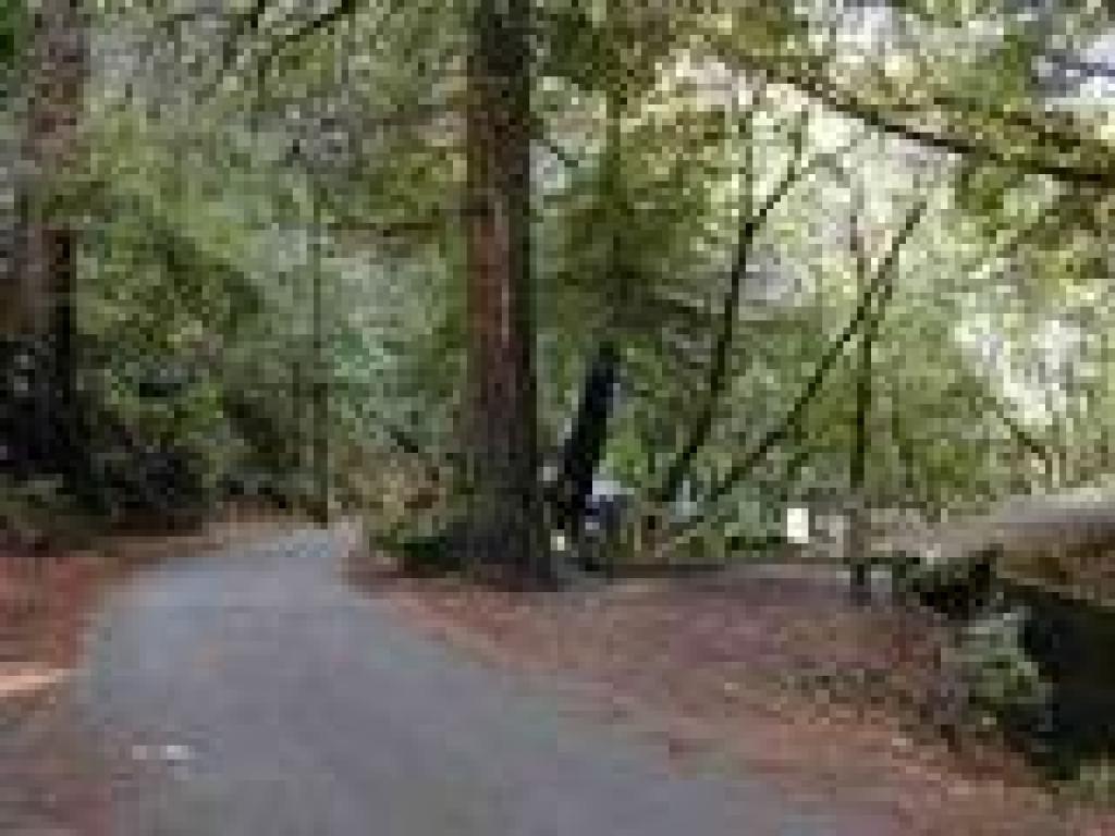 Trailhead