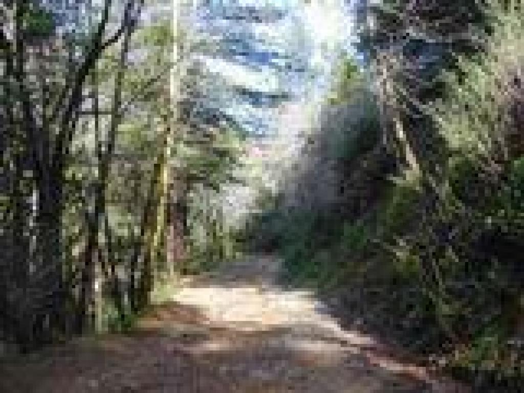 Old Railroad Grade