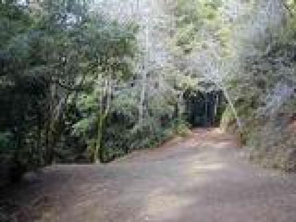 Junction