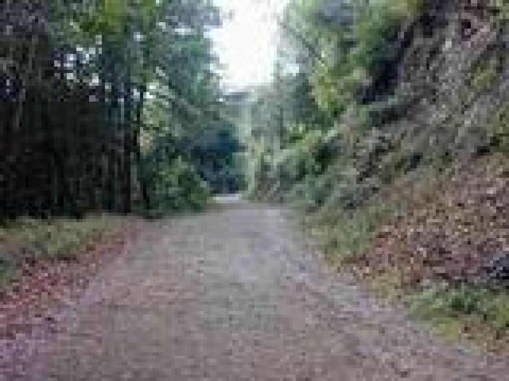 Old Railroad Grade