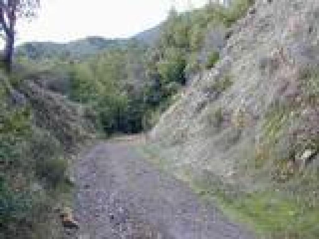 Railroad cut