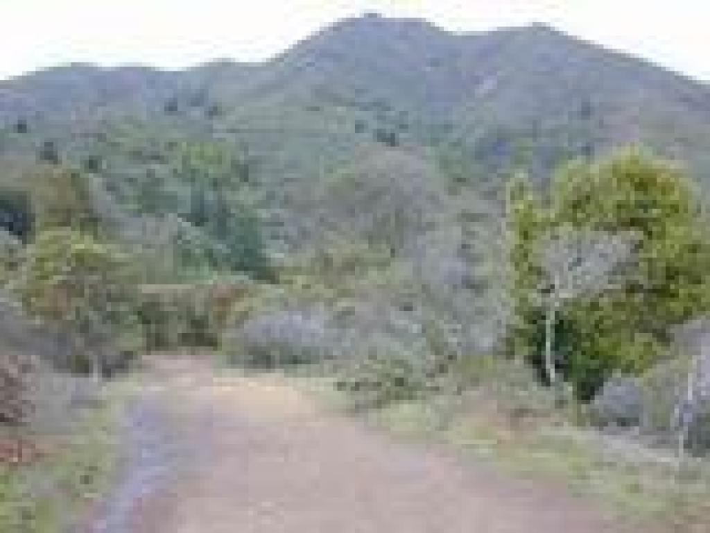Great views to the summit