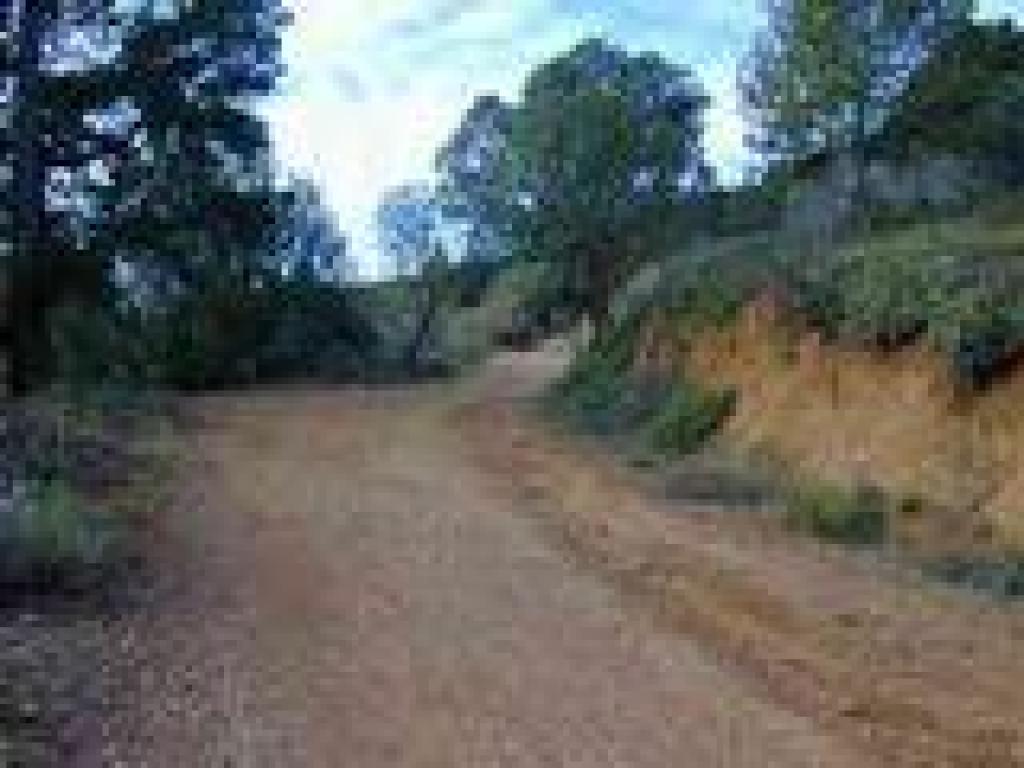Old Railroad Grade