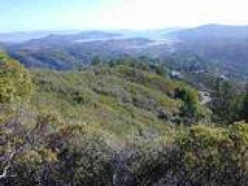 Blithedale Ridge