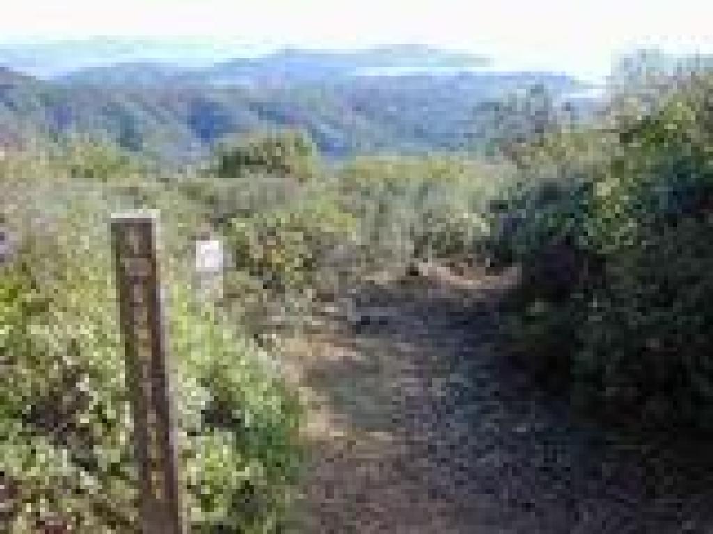 A look down Temelpa