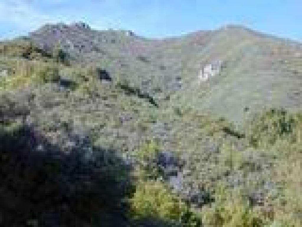 View uphill